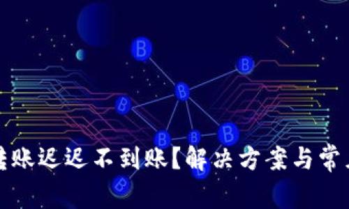 TP冷钱包转账迟迟不到账？解决方案与常见问题解析