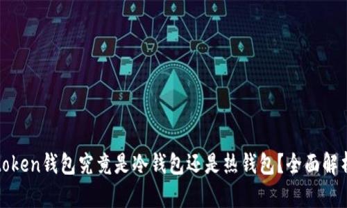 token钱包究竟是冷钱包还是热钱包？全面解析