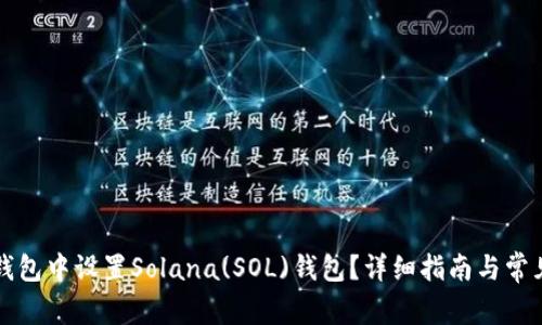 如何在TP钱包中设置Solana(SOL)钱包?详细指南与常见问题解答