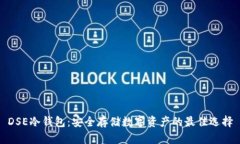 DSE冷钱包：安全存储数字